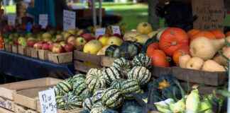 2025’te Basın Bülteni Trendleri: Dijital PR’ın Geleceği 2025’te Basın Bülteni Trendleri: Dijital PR’ın Geleceği