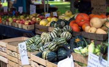 2025’te Basın Bülteni Trendleri: Dijital PR’ın Geleceği 2025’te Basın Bülteni Trendleri: Dijital PR’ın Geleceği