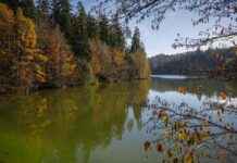 Basın Bülteni Göndermeden Önce Kontrol Edilmesi Gereken Noktalar Basın Bülteni Göndermeden Önce Kontrol Edilmesi Gereken Noktalar