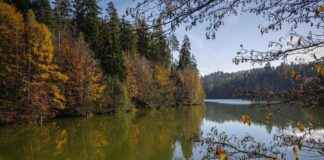 Basın Bülteni Göndermeden Önce Kontrol Edilmesi Gereken Noktalar Basın Bülteni Göndermeden Önce Kontrol Edilmesi Gereken Noktalar