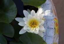 Basın Bülteni ile Dijital Pazarlama Kampanyalarını Güçlendirme Basın Bülteni ile Dijital Pazarlama Kampanyalarını Güçlendirme