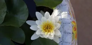 Basın Bülteni ile Dijital Pazarlama Kampanyalarını Güçlendirme Basın Bülteni ile Dijital Pazarlama Kampanyalarını Güçlendirme