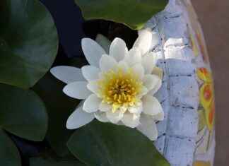 Basın Bülteni ile Dijital Pazarlama Kampanyalarını Güçlendirme Basın Bülteni ile Dijital Pazarlama Kampanyalarını Güçlendirme