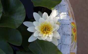 Basın Bülteni ile Dijital Pazarlama Kampanyalarını Güçlendirme Basın Bülteni ile Dijital Pazarlama Kampanyalarını Güçlendirme