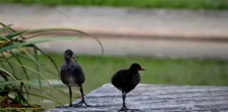 Basın Bülteni ile Hedef Kitleye Ulaşma Stratejileri Basın Bülteni ile Hedef Kitleye Ulaşma Stratejileri