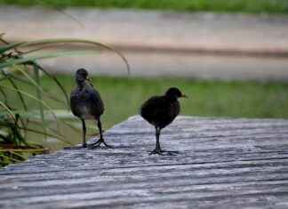 Basın Bülteni ile Hedef Kitleye Ulaşma Stratejileri Basın Bülteni ile Hedef Kitleye Ulaşma Stratejileri
