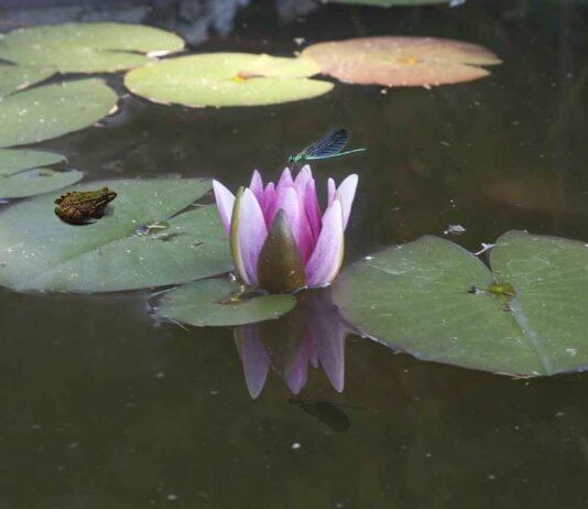 Basın Bülteni ile Sosyal Medyada Viral Olmanın Yolları Basın Bülteni ile Sosyal Medyada Viral Olmanın Yolları