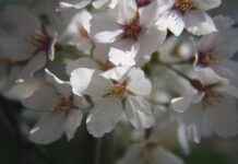 Basın Bülteni ile Sosyal Sorumluluk Projelerini Tanıtma Basın Bülteni ile Sosyal Sorumluluk Projelerini Tanıtma