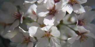 Basın Bülteni ile Sosyal Sorumluluk Projelerini Tanıtma Basın Bülteni ile Sosyal Sorumluluk Projelerini Tanıtma