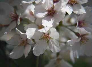Basın Bülteni ile Sosyal Sorumluluk Projelerini Tanıtma Basın Bülteni ile Sosyal Sorumluluk Projelerini Tanıtma
