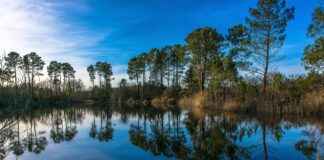 Basın Bülteni Kullanarak Marka Bilinirliğini Artırmanın Yolları Basın Bülteni Kullanarak Marka Bilinirliğini Artırmanın Yolları