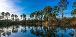Basın Bülteni Kullanarak Marka Bilinirliğini Artırmanın Yolları Basın Bülteni Kullanarak Marka Bilinirliğini Artırmanın Yolları