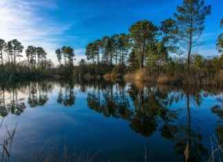 Basın Bülteni Kullanarak Marka Bilinirliğini Artırmanın Yolları Basın Bülteni Kullanarak Marka Bilinirliğini Artırmanın Yolları