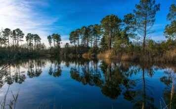 Basın Bülteni Kullanarak Marka Bilinirliğini Artırmanın Yolları Basın Bülteni Kullanarak Marka Bilinirliğini Artırmanın Yolları