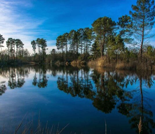 Basın Bülteni Kullanarak Marka Bilinirliğini Artırmanın Yolları Basın Bülteni Kullanarak Marka Bilinirliğini Artırmanın Yolları