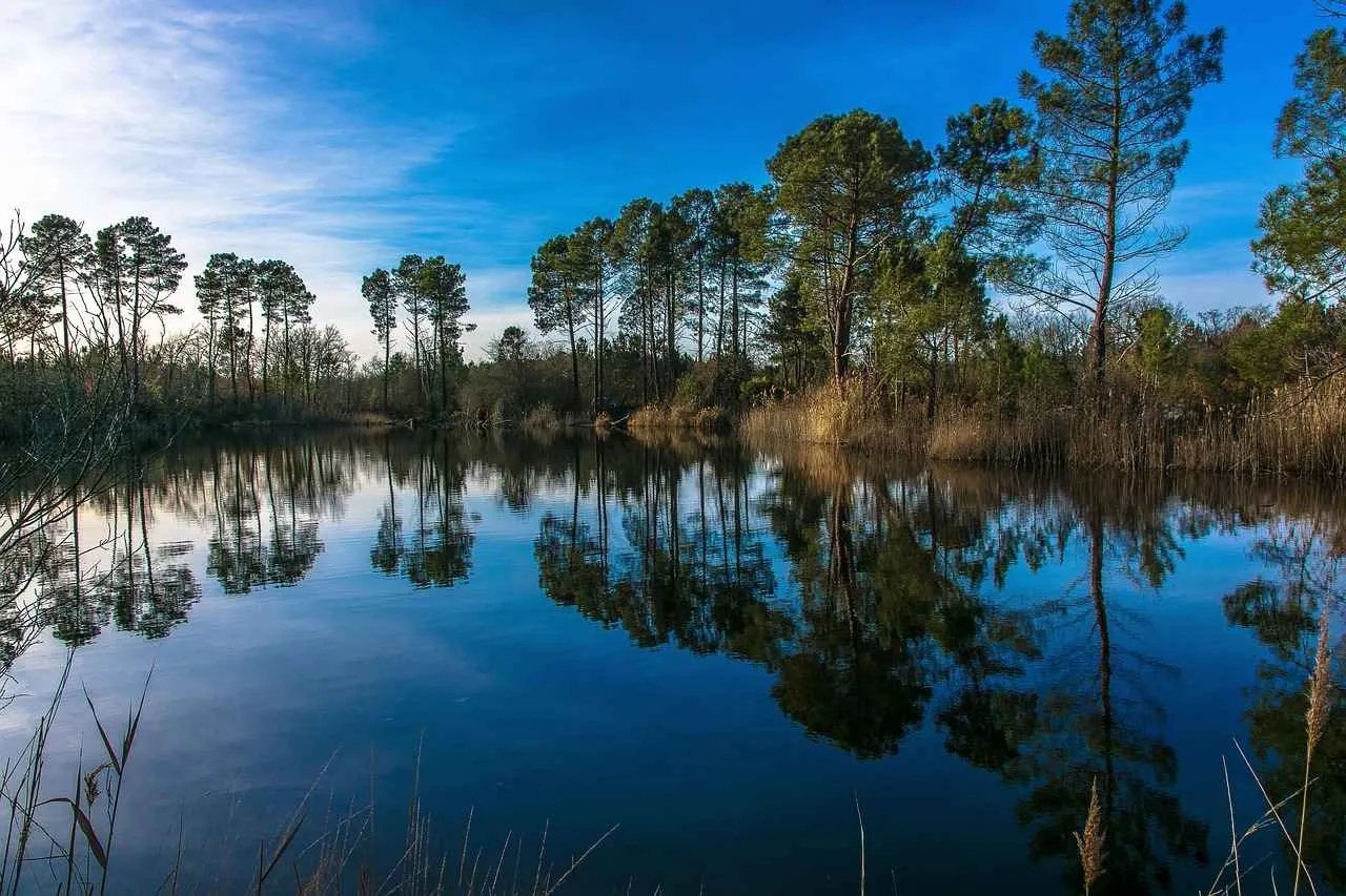 Basın Bülteni Kullanarak Marka Bilinirliğini Artırmanın Yolları Basın Bülteni Kullanarak Marka Bilinirliğini Artırmanın Yolları
