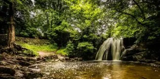 Basın Bülteni Nasıl Yayınlanır? Ücretsiz ve Ücretli Dağıtım Kanalları Basın Bülteni Nasıl Yayınlanır? Ücretsiz ve Ücretli Dağıtım Kanalları