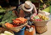 Basın Bülteni ve Blog Yazısı Arasındaki Farklar Nelerdir? Basın Bülteni ve Blog Yazısı Arasındaki Farklar Nelerdir?
