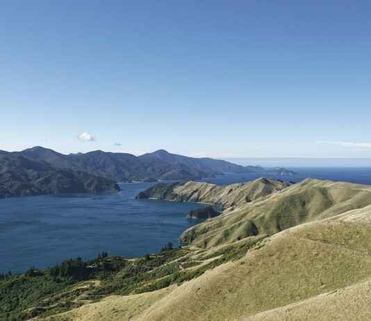 Basın Bülteni ve Haber Bülteni Arasındaki Farklar Nelerdir? Basın Bülteni ve Haber Bülteni Arasındaki Farklar Nelerdir?