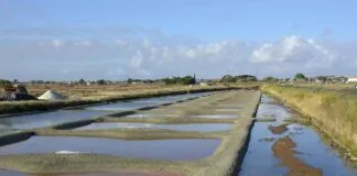 Basın Bülteninde Başarılı Örnekler ve Analizleri Basın Bülteninde Başarılı Örnekler ve Analizleri