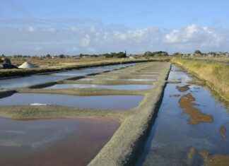Basın Bülteninde Başarılı Örnekler ve Analizleri Basın Bülteninde Başarılı Örnekler ve Analizleri