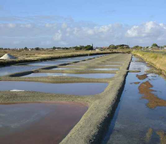 Basın Bülteninde Başarılı Örnekler ve Analizleri Basın Bülteninde Başarılı Örnekler ve Analizleri