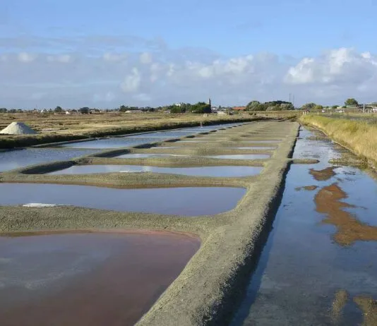 Basın Bülteninde Başarılı Örnekler ve Analizleri Basın Bülteninde Başarılı Örnekler ve Analizleri