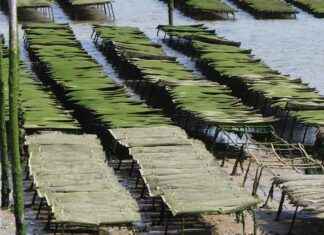 Bölgesel Basın İçin Hedeflenmiş Basın Bülteni Stratejileri Bölgesel Basın İçin Hedeflenmiş Basın Bülteni Stratejileri