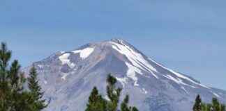 Bülten Gönderimi Sonrasında Basın İlişkileri Yönetimi Bülten Gönderimi Sonrasında Basın İlişkileri Yönetimi