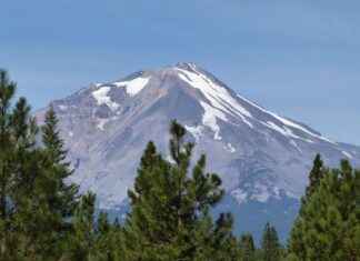 Bülten Gönderimi Sonrasında Basın İlişkileri Yönetimi Bülten Gönderimi Sonrasında Basın İlişkileri Yönetimi