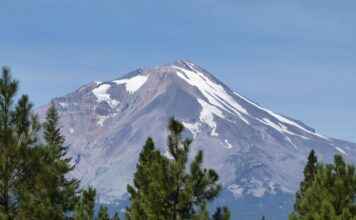 Bülten Gönderimi Sonrasında Basın İlişkileri Yönetimi Bülten Gönderimi Sonrasında Basın İlişkileri Yönetimi