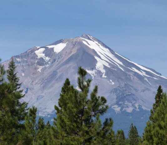 Bülten Gönderimi Sonrasında Basın İlişkileri Yönetimi Bülten Gönderimi Sonrasında Basın İlişkileri Yönetimi