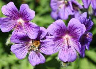 Çevre Dostu Şirketler İçin Yeşil Basın Bülteni Stratejileri Çevre Dostu Şirketler İçin Yeşil Basın Bülteni Stratejileri