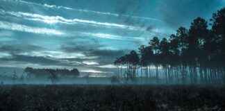 Dijital Dönemde Basın Bülteni Dağıtımı: En İyi Stratejiler Dijital Dönemde Basın Bülteni Dağıtımı: En İyi Stratejiler