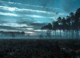 Dijital Dönemde Basın Bülteni Dağıtımı: En İyi Stratejiler Dijital Dönemde Basın Bülteni Dağıtımı: En İyi Stratejiler