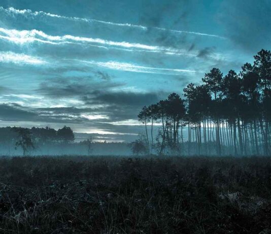 Dijital Dönemde Basın Bülteni Dağıtımı: En İyi Stratejiler Dijital Dönemde Basın Bülteni Dağıtımı: En İyi Stratejiler