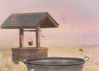 Dikkat Çekici Bir Basın Bülteni Başlığı Nasıl Yazılır? Dikkat Çekici Bir Basın Bülteni Başlığı Nasıl Yazılır?