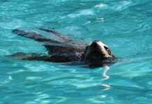 Doğru Medya Kuruluşlarına Basın Bülteni Gönderme Yöntemleri Doğru Medya Kuruluşlarına Basın Bülteni Gönderme Yöntemleri