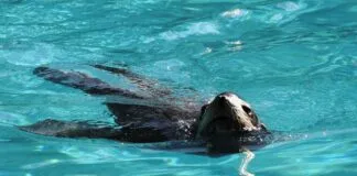 Doğru Medya Kuruluşlarına Basın Bülteni Gönderme Yöntemleri Doğru Medya Kuruluşlarına Basın Bülteni Gönderme Yöntemleri