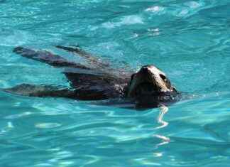 Doğru Medya Kuruluşlarına Basın Bülteni Gönderme Yöntemleri Doğru Medya Kuruluşlarına Basın Bülteni Gönderme Yöntemleri