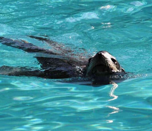 Doğru Medya Kuruluşlarına Basın Bülteni Gönderme Yöntemleri Doğru Medya Kuruluşlarına Basın Bülteni Gönderme Yöntemleri