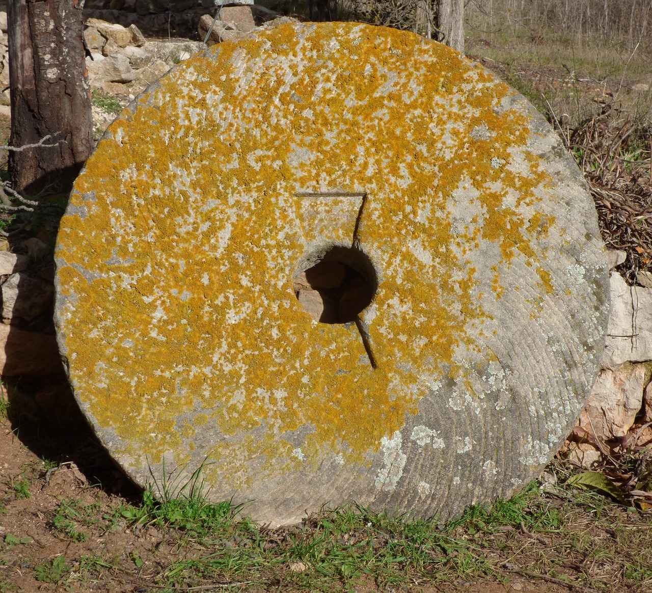 İçerik ve Düzgünlük