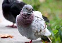 Emlak Sektöründe Kullanılan Basın Bülteni Örnekleri Emlak Sektöründe Kullanılan Basın Bülteni Örnekleri