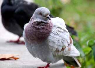 Emlak Sektöründe Kullanılan Basın Bülteni Örnekleri Emlak Sektöründe Kullanılan Basın Bülteni Örnekleri