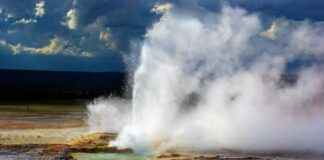 En Çok Okunan Basın Bülteni Formatları ve Başarı Analizleri En Çok Okunan Basın Bülteni Formatları ve Başarı Analizleri