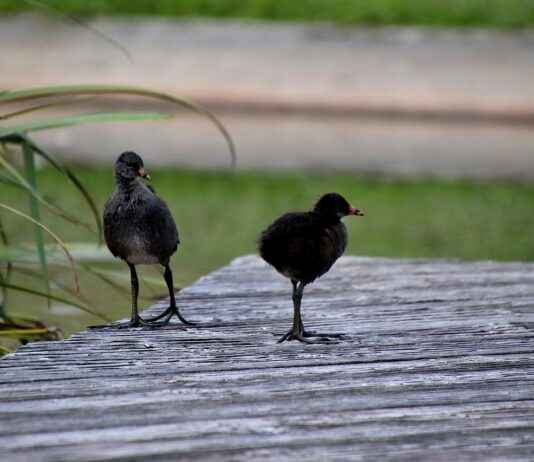 Etkili Bir Basın Bülteni İçin En İdeal Uzunluk Nedir? Etkili Bir Basın Bülteni İçin En İdeal Uzunluk Nedir?