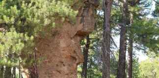 Etkili Bir Basın Bülteni için İdeal Başlık Seçimi Etkili Bir Basın Bülteni için İdeal Başlık Seçimi