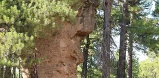 Etkili Bir Basın Bülteni için İdeal Başlık Seçimi Etkili Bir Basın Bülteni için İdeal Başlık Seçimi