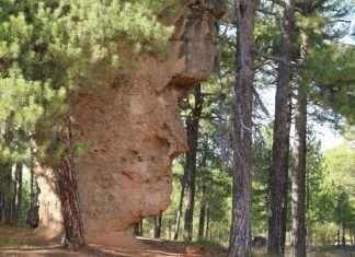 Etkili Bir Basın Bülteni için İdeal Başlık Seçimi Etkili Bir Basın Bülteni için İdeal Başlık Seçimi