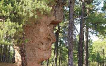 Etkili Bir Basın Bülteni için İdeal Başlık Seçimi Etkili Bir Basın Bülteni için İdeal Başlık Seçimi